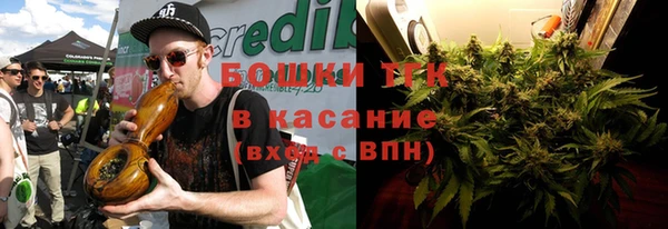 прущие грибы Верея